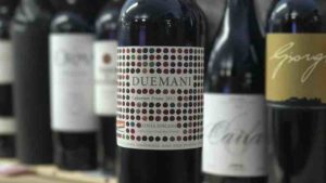 Costa Toscana Duemani Cabernet Franc 2013