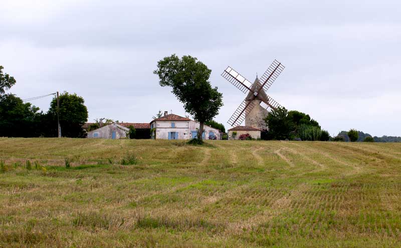 Weinberg-Mühle