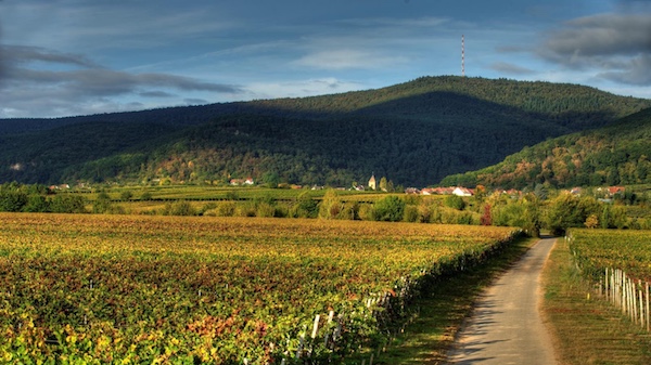 Die Pfalz – ein Überblick