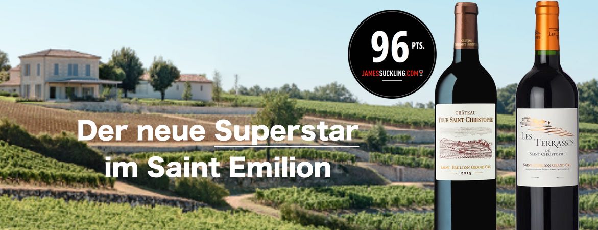 Chateau Tour Saint Christophe 2015