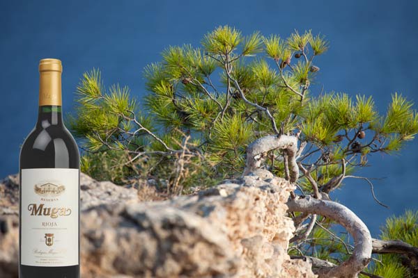 Spanien – Trend zu hochwertigen Weinen