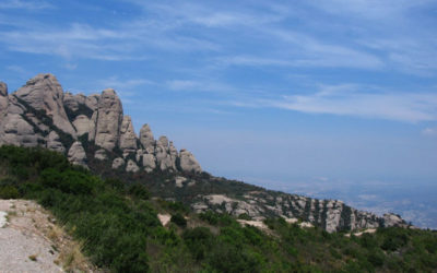 Spanische Weine. Blick nach Katalonien