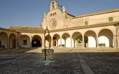 Weinreise im Herzen Spaniens. Toro