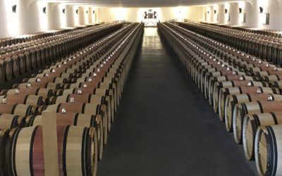 Bordeaux 2018 – Pauillac unsere Verkostungsnotizen
