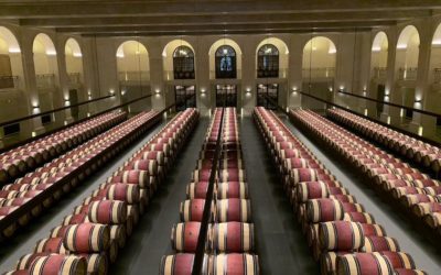 Bordeaux 2018 – Saint-Estephe unsere Verkostungsnotizen