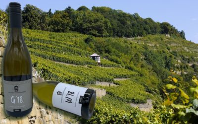 Die Weine des Disibodenberg bei uns im Sortiment