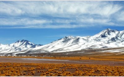 Almaviva 2017 Valle de Maipo