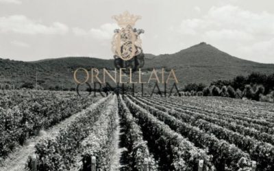 Tenuta dell Ornellaia – welcome back – besser denn je zuvor