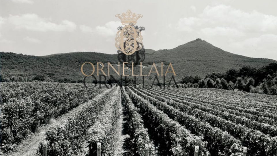 Ornellaia - ein Portrait dieses Kukltweinguts