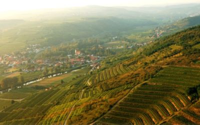 Weingut Loimer Kamptal – Natur voller Geschmack