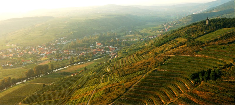 Weingut Loimer Kamptal – Natur voller Geschmack