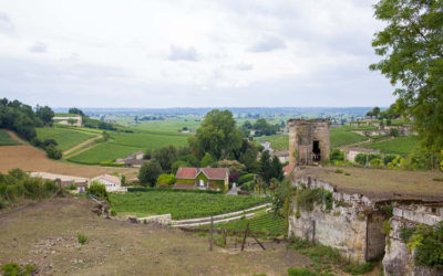 Chateau Tour Saint Christophe Saint-Émilion 2015 vs. 2016