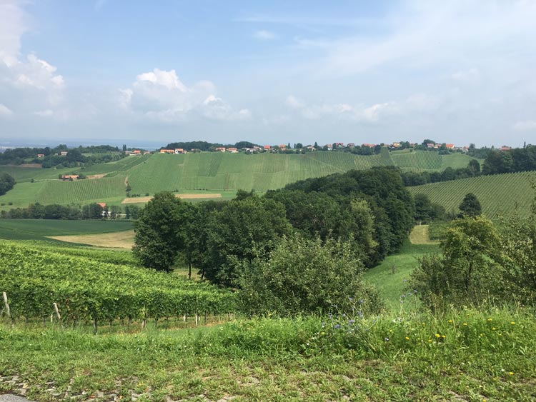Das Weinland Österreich