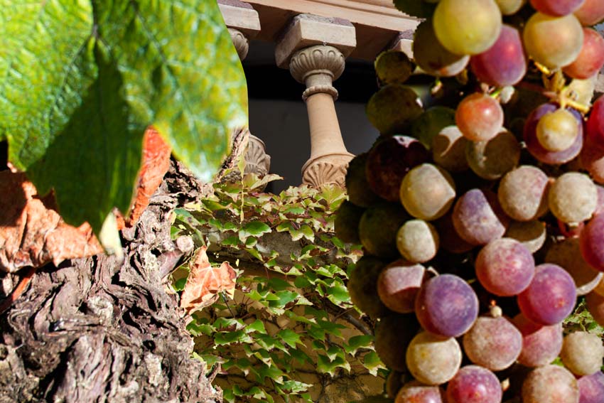 Fronsac_Dalem