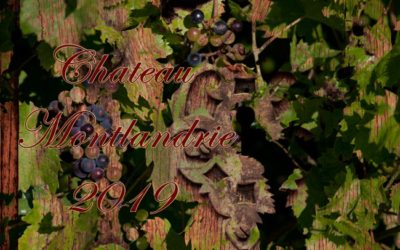 2019 Château Montlandrie Castillon Côtes de Bordeaux