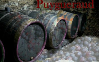 2019 Château Puygeraud