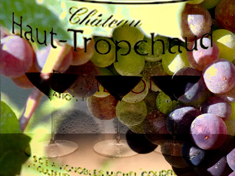 Arrivage-2019-Haut-Tropchaud
