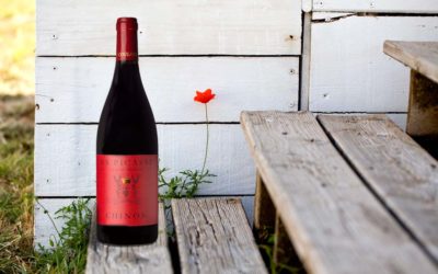 Frische aus dem Val De Loire. Chinon