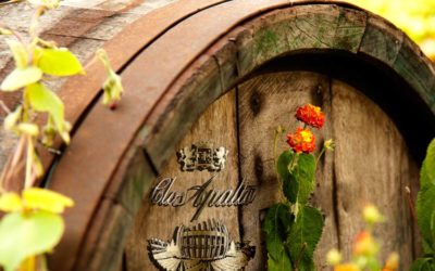 Clos Apalta 2019