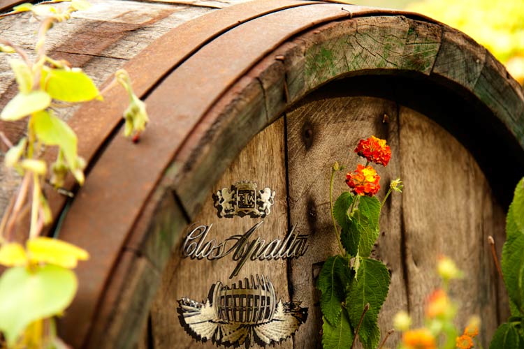 Clos Apalta 2019