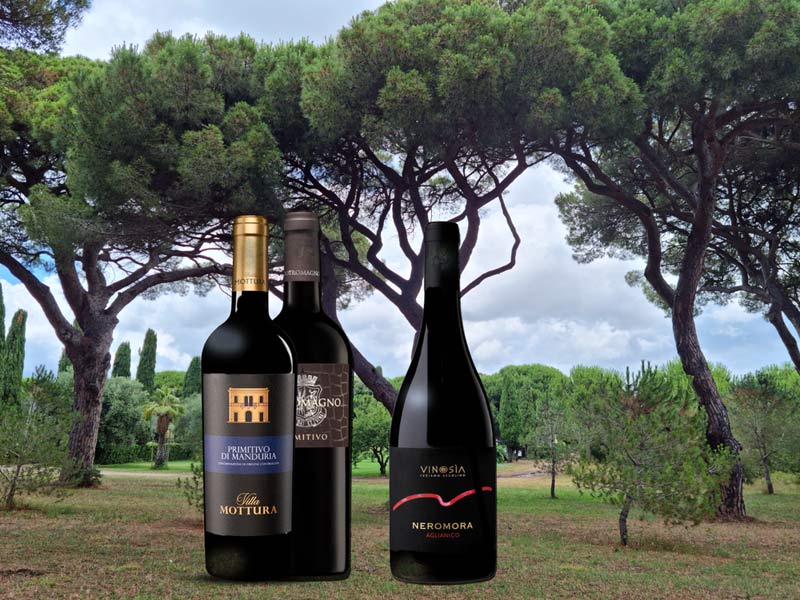 Ein elegantes Weintrio aus Italien