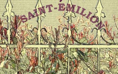 Saint Emilion 2020