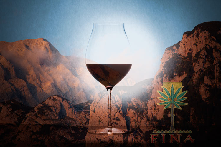 Südlicher Geschmack sizilianischer Weine. Cantine Fina