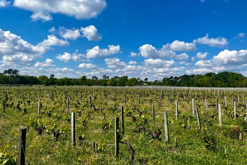 Medoc_Subskription_2023