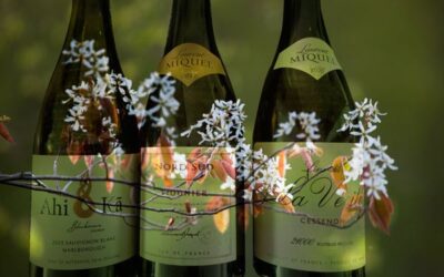 Weißweine. Sauvignon Blanc und Viognier
