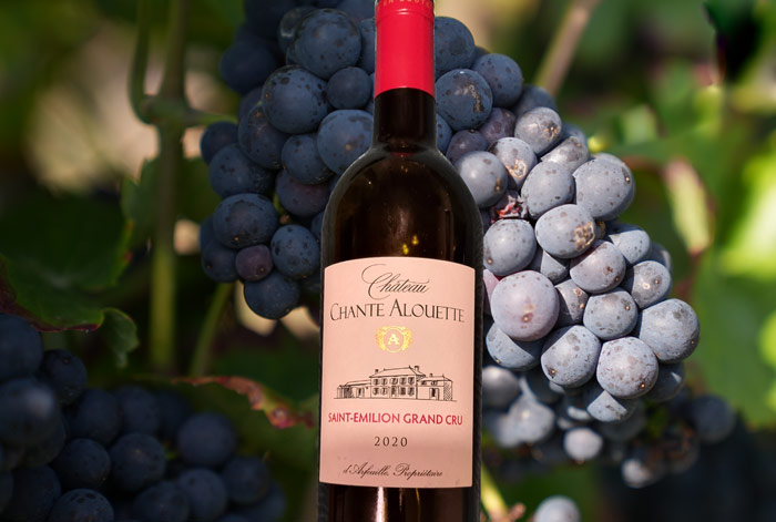 Château Chante Alouette 2020 – Mittelkräftig, doch beeindruckend tief