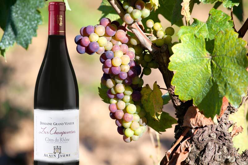 Les Champauvins 2023 Côtes du Rhône