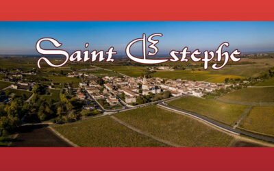 Saint Estephe. Verkostungsnotizen Jahrgang 2025
