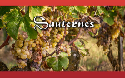 Sauternes. Verkostungsnotizen Jahrgang 2025