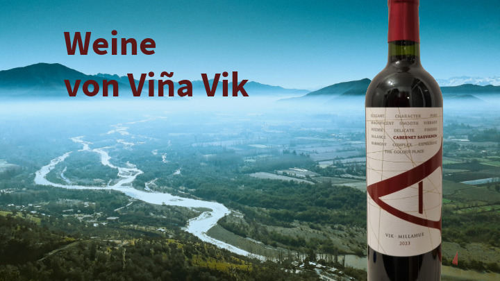 Vier Weine von Viña Vik im Vergleich: Struktur statt Opulenz (Jahrgang 2023)