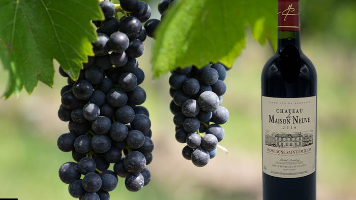 Montagne-Saint-Emilion