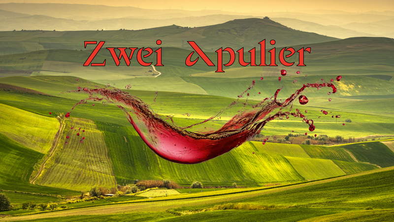 Zwei autochthone Apulier im Glas: Nero di Troia und Susumaniello