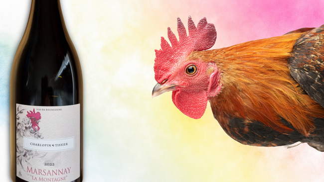 Eine neue Welt im Glas: Mein Einstieg in Burgund