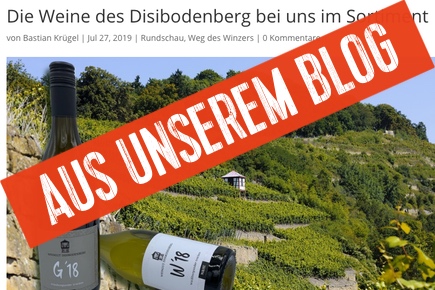 Aus unserem Blog | Disibodenberg