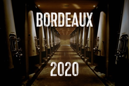 Entdecken Sie die Bordeauxweine des Jahrgang 2020 bei uns