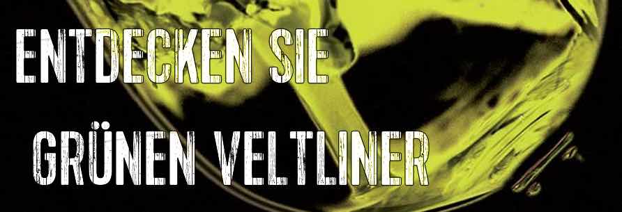 Grüner Veltliner vom Weingut Hofstetter Wagram