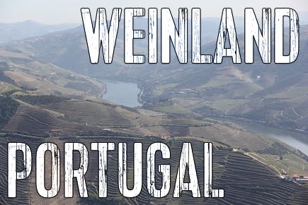 Weinland-Portugal-bei-CB-Weinhandel-entdecken