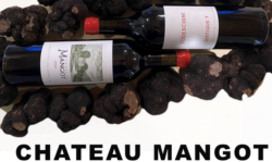 Chateau Mangot 2019 Saint Emilion Cru CB-Weinhandel - Grand