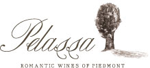 Daniele Pelassa