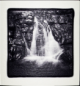 Preview: Two Hands Waterfall Block 2019 Shiraz Adelaide