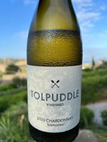 Chardonnay Tolpuddle genossen In Südfrankreich