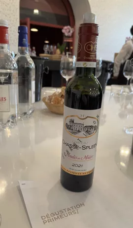 Chateau Chasse Spleen 2022 Moulis en Medoc