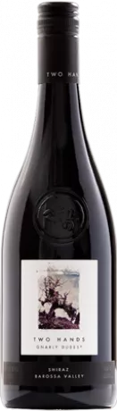 Two Hands Gnarly Dudes Shiraz Barossa Valley 2018