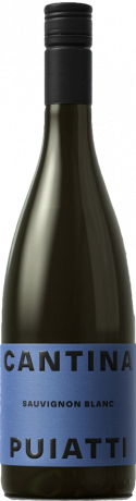 Cantina Puiatti Sauvignon Blanc DOC Friuli 2024 je Flasche 10.95€