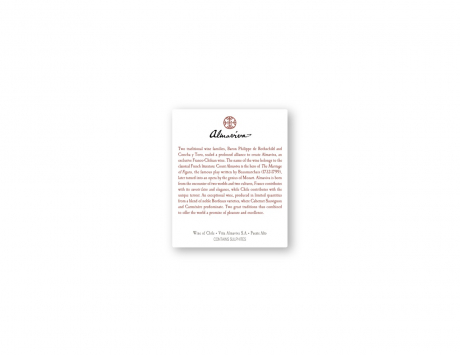 Rücklabel Almaviva 2021 Valle de Maipo Rothschild und Concha y Toro