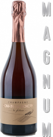 Champagne de Bichery Les Fontaines Rose 2021 MAGNUM 1,5-L